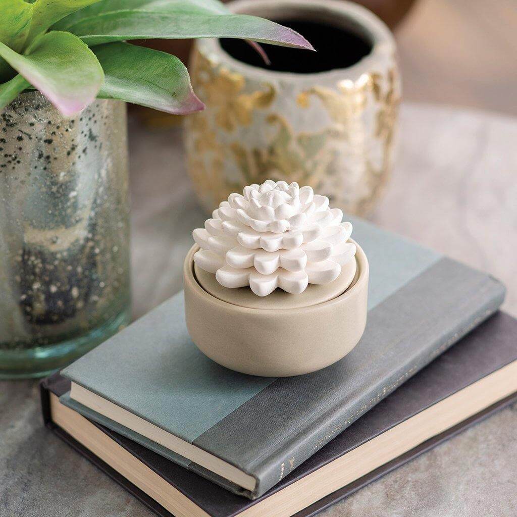 Airomé : Succulent Porcelain Diffuser