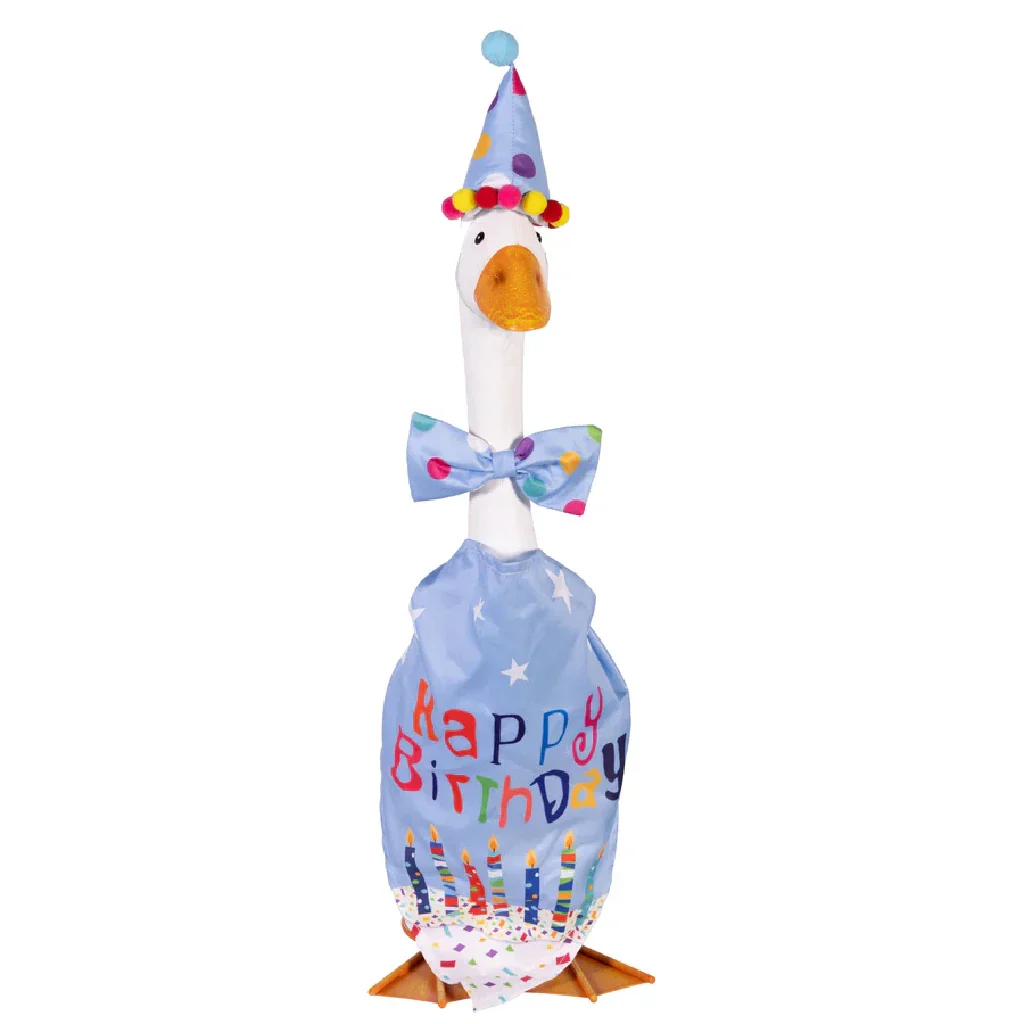 Evergreen : Porch Goose Outfit. Birthday Boy - Image 2