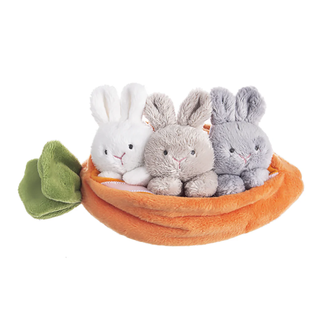 Ganz : Carrot Learn & Grow - Plush