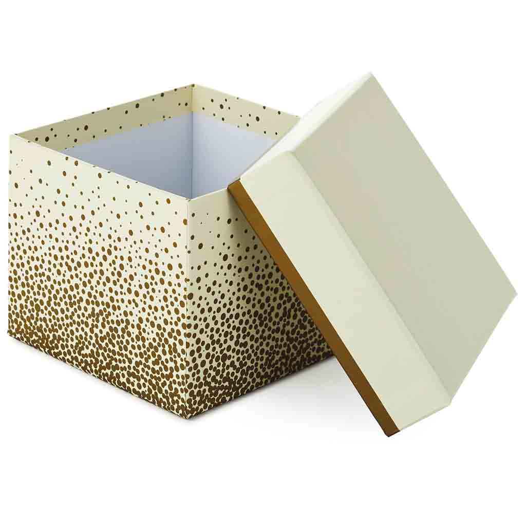 Hallmark : 5" Square Champagne Bubbles on Ivory Gift Box - Image 3