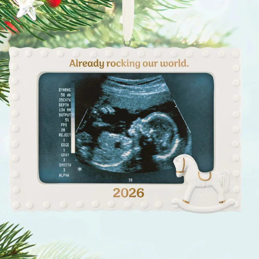 Hallmark : 2026 Keepsake  Already Rocking Our World  Photo Frame Porcelain Ornament (19)
