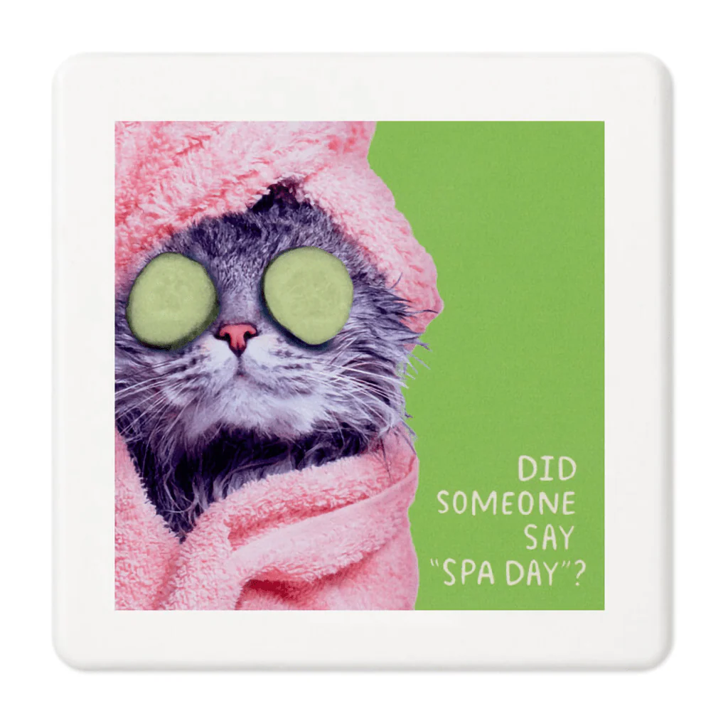 Hallmark : Pampered Cat Photo Funny Coaster