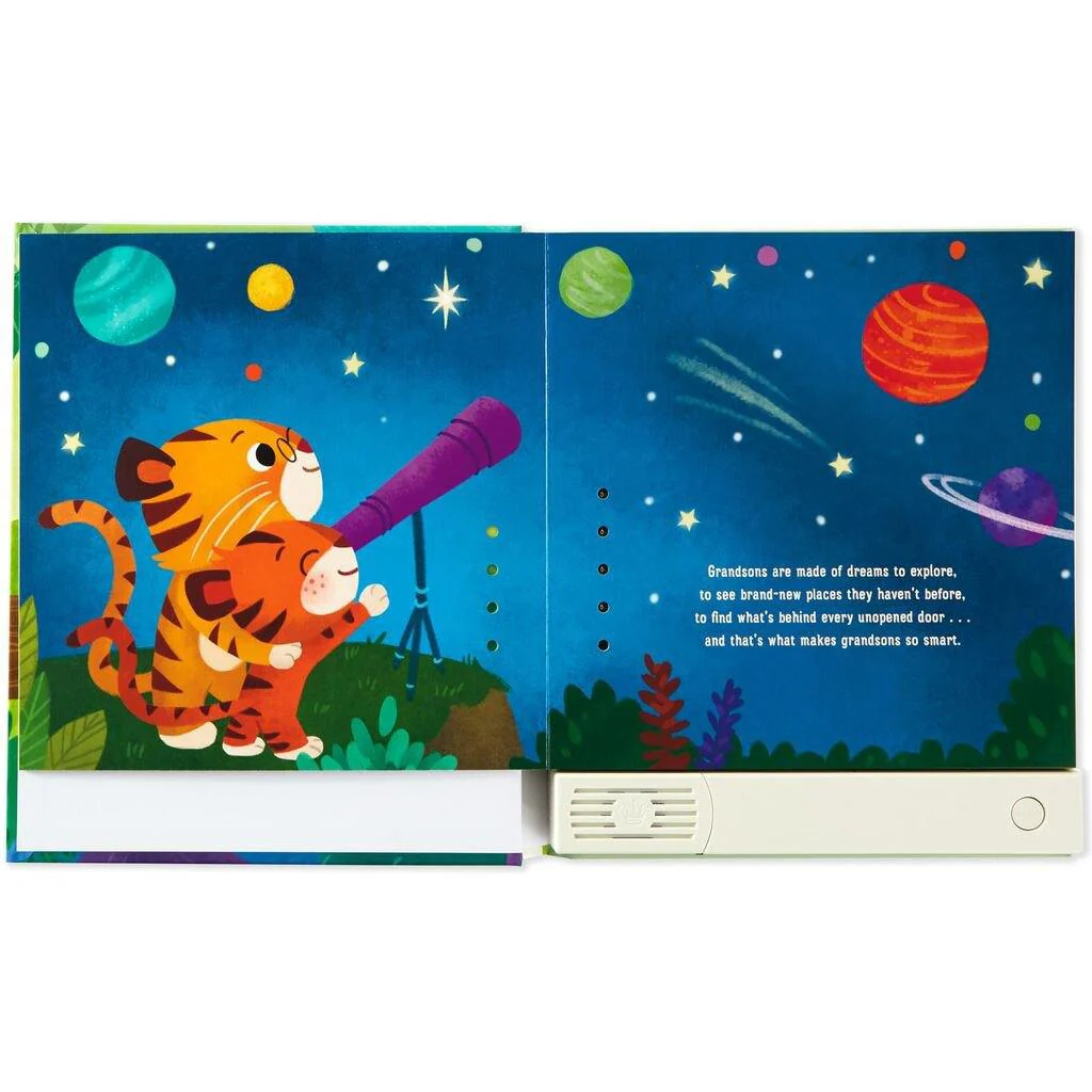 Hallmark : What Are Grandsons Made Of? Recordable Storybook - Image 4