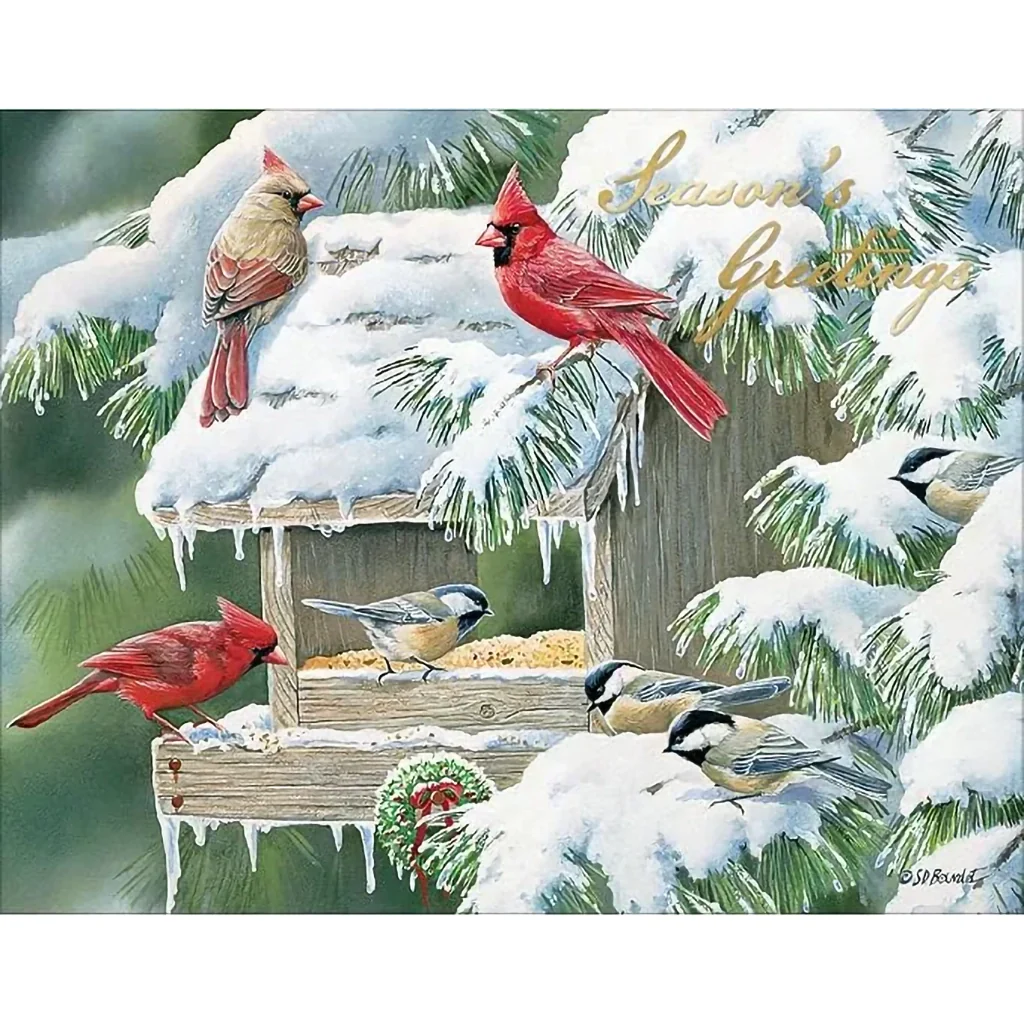 Lang : Cardinal Christmas Boxed Cards - Image 3