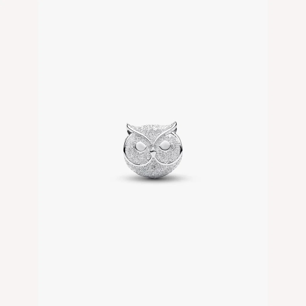 Pandora : Textured Owl Mini Charm - Image 2