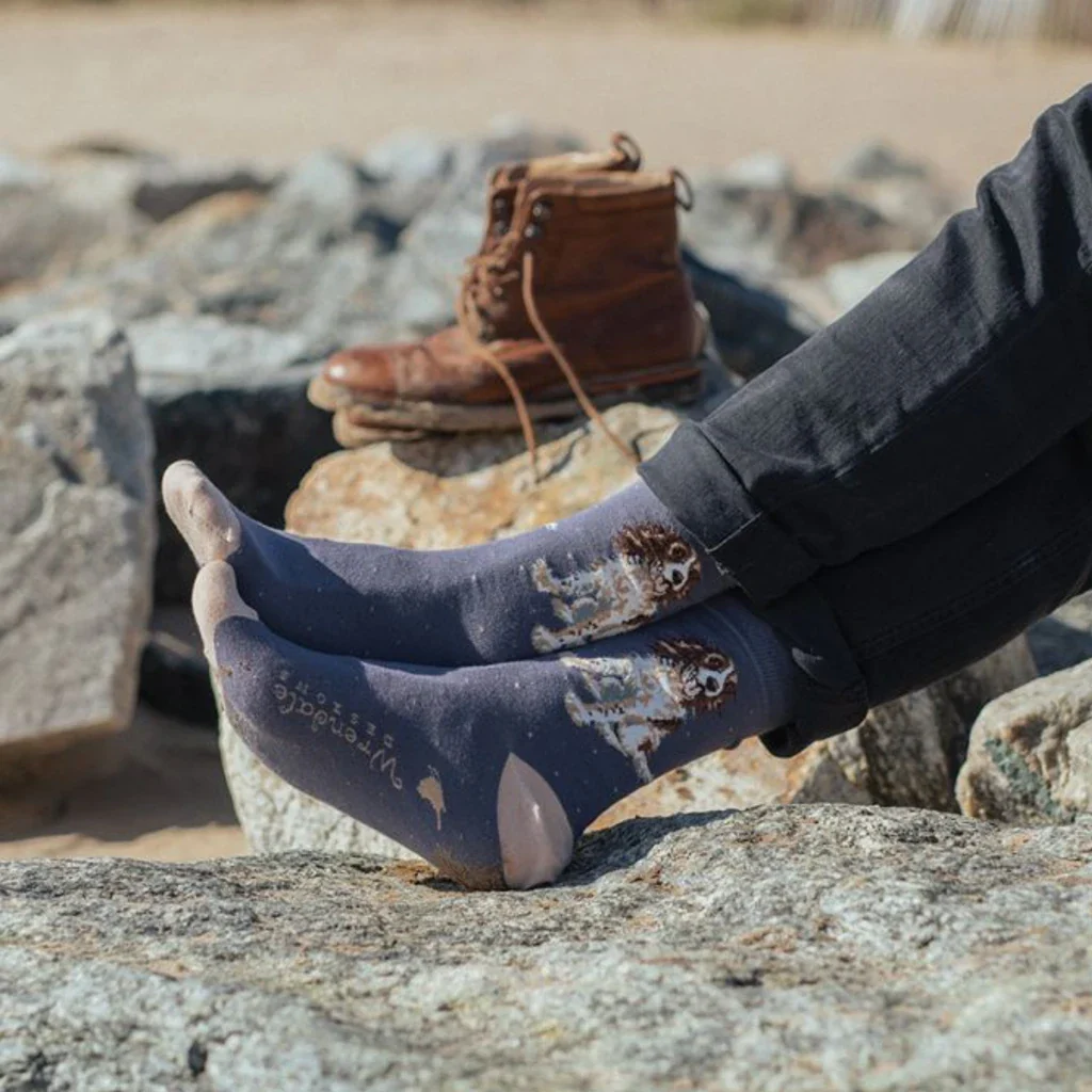 Wrendale : Willow' Spaniel Men's Socks - Image 2