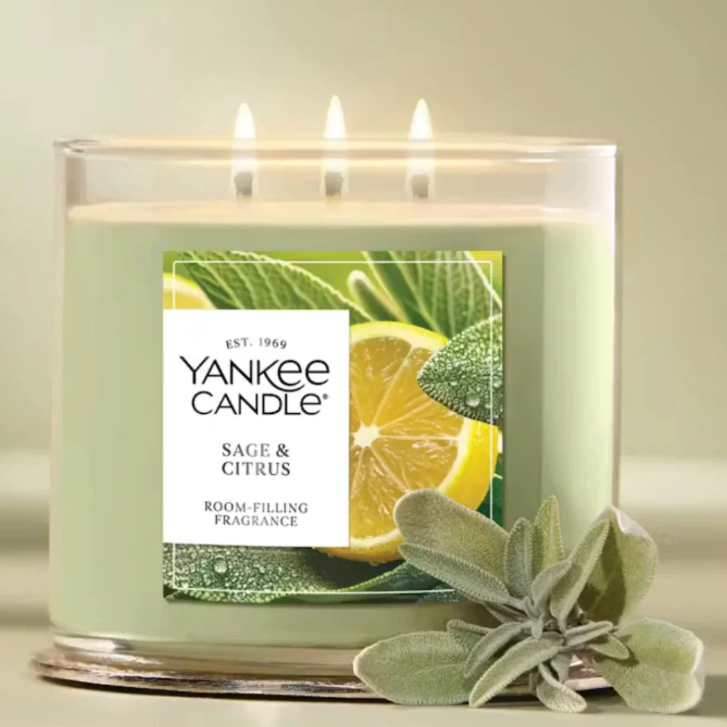 Yankee Candle : Sage & Citrus Medium Jar Candles - Image 2
