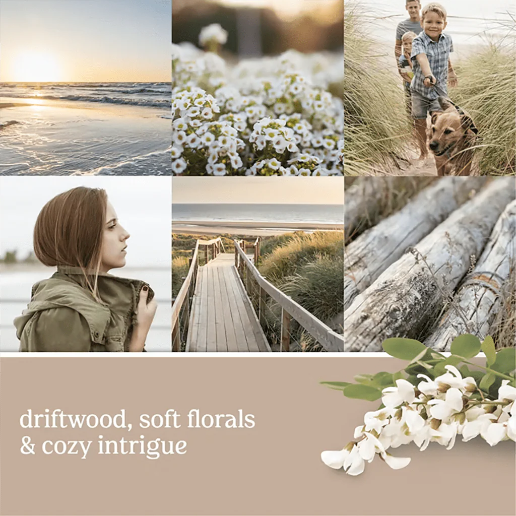 Yankee Candle : ScentPlug® Refill in Seaside Woods - Image 2